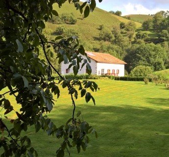 fancy-gallery-tabs-image