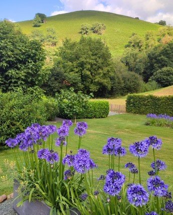 fancy-gallery-tabs-image