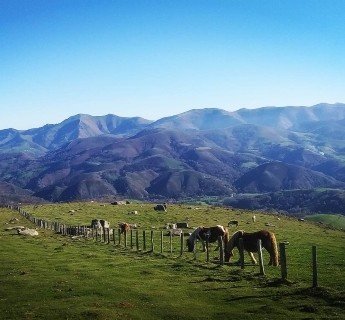 fancy-gallery-tabs-image