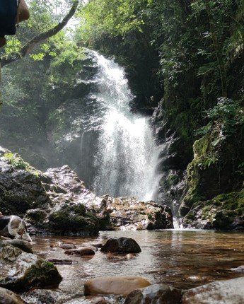 fancy-gallery-tabs-image